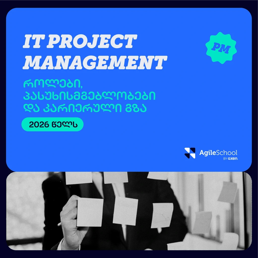 It project manager - კარიერა