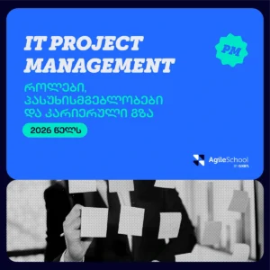 It project manager - კარიერა